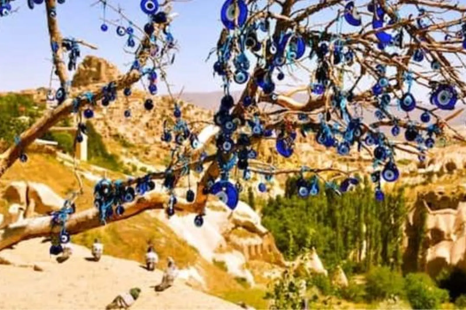 Árbol con amuletos nazar azul colgando sobre formaciones rocosas y vegetación en Capadocia