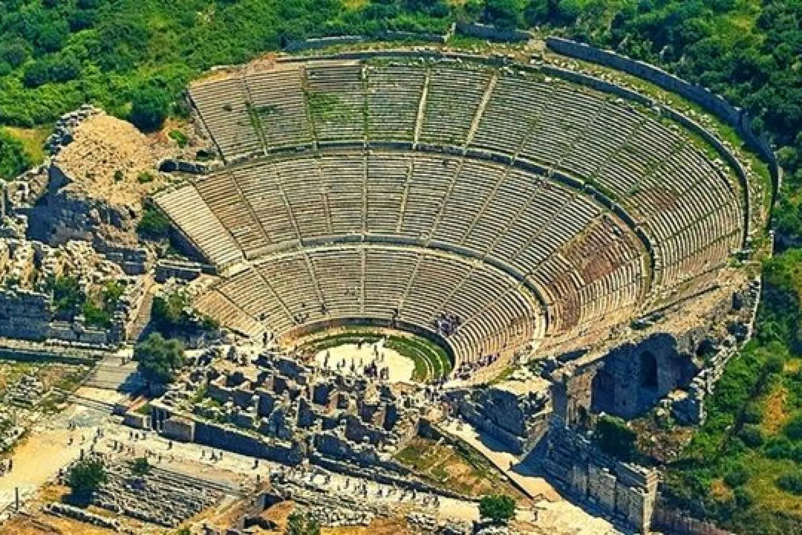 Ruinas del gran teatro antiguo de Éfeso, con gradas de piedra semicirculares rodeadas de vegetación.