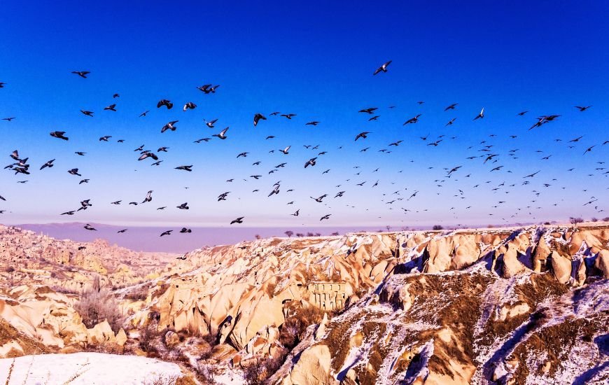 Paisaje nevado del Valle de las Palomas (Pigeon Valley) en Capadocia, con sus características formaciones rocosas y una bandada de palomas volando bajo un cielo azul.